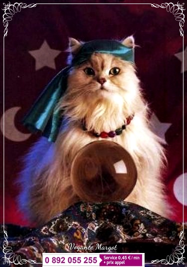 chat voyance chat voyance